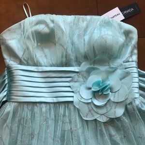 Le Chateau Mint Sparkle Strapless dress